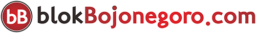 Logo blokBojonegoro.com