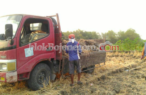 Endapan Tanah Dari Irigasi Numpuk Di Sawah Warga Resah