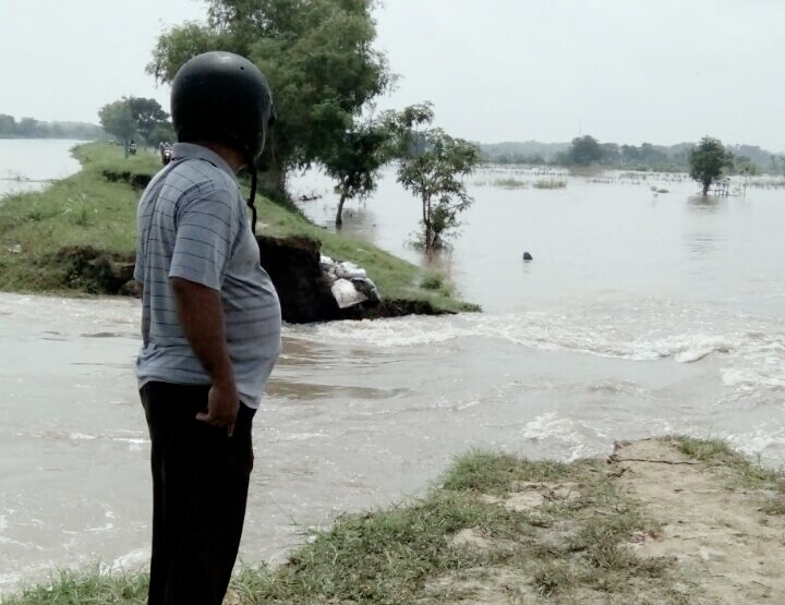 Genangi Hektaran Lahan Padi Petani Terancam Gagal Panen