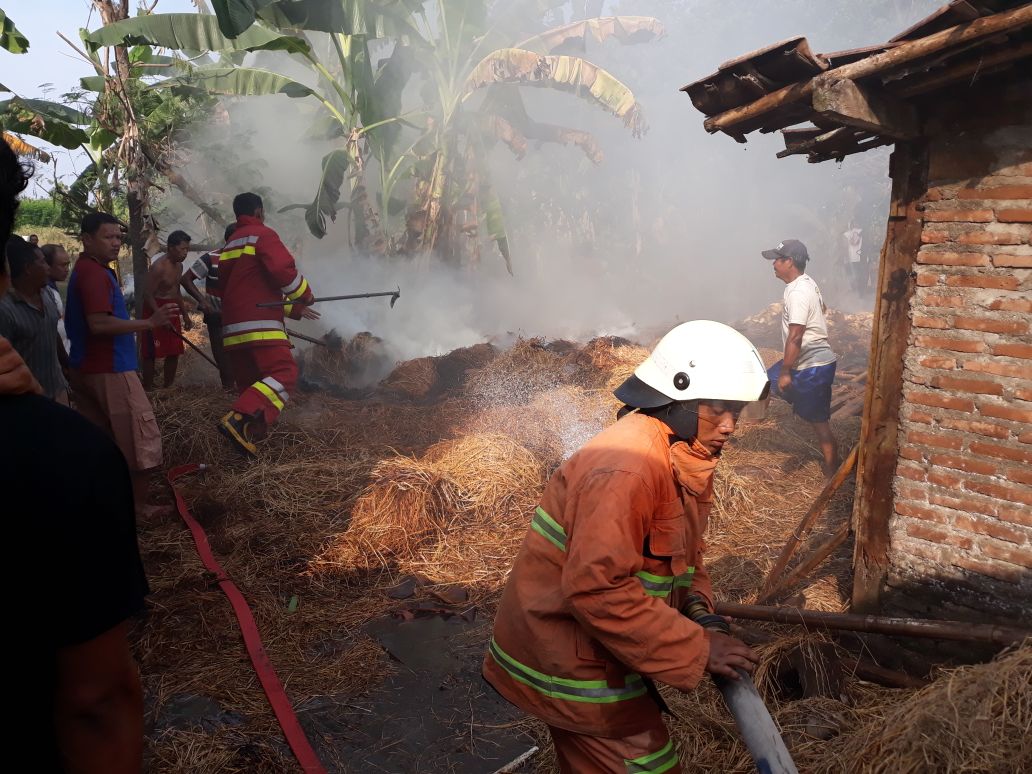 Kandang Ternak Milik Warga Desa Banjarjo Dilahap Api