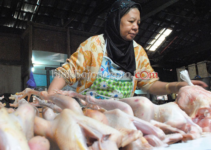 Daging Ayam Potong Melambung Rp38 Ribu/Kg
