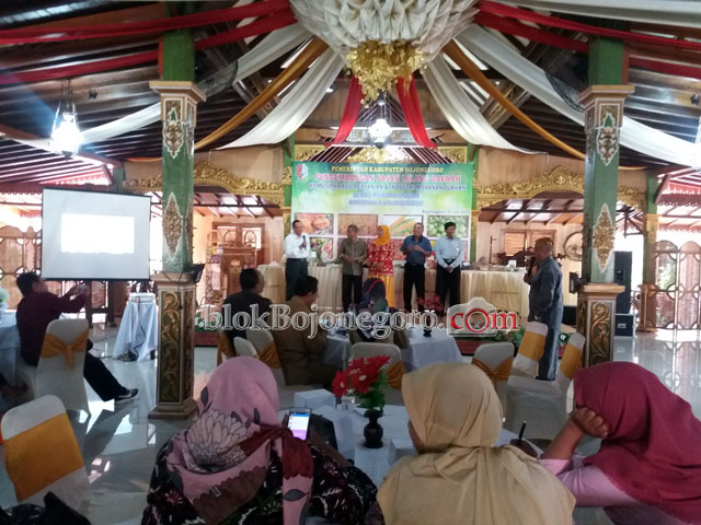 Serbuk dan Daun Kelor Paling Laris