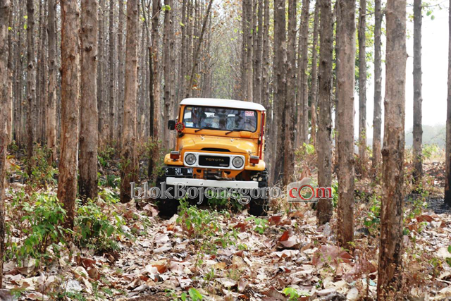 Antisipasi Kebakaran, Kapolres Patroli Kehutan di Bubulan