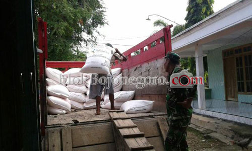 Pupuk di Gayam Melimpah Saat Kemarau