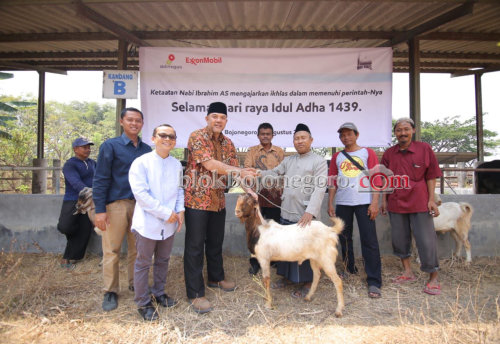 BDI EMCL Salurkan Hewan Kurban untuk Warga Sekitar Proyek