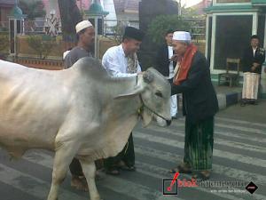 Sembelih 5 Sapi, Masjid Darussalam Ingin Berkhitmad Agama dan Bangsa