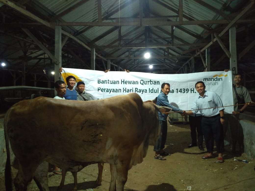 Bank Syariah Mandiri Cabang Sumberrejo Ikut Berkurban