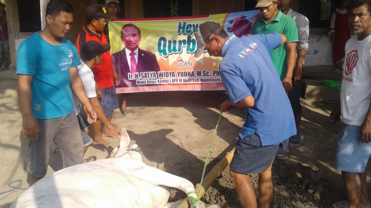 SW Yudha Bagikan Sapi di Bojonegoro dan Tuban