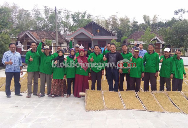 Harga Turun, Tembakau Petik ke 5 Laku Rp25 Ribu