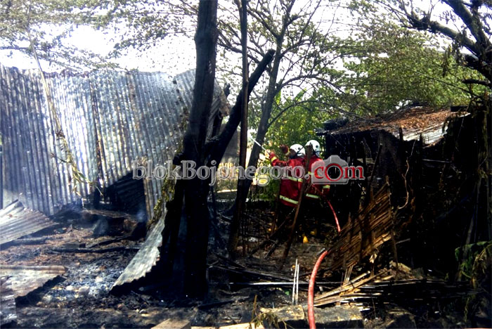 Lagi-lagi, Kadang Burung Puyuh Ludes Dilalap Api