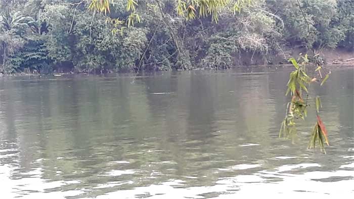 Masyarakat Dihimbau Waspada, Dimungkinkan Muncul Kembali di Hulu