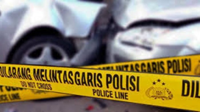 Oleng, Honda Jazz Sikat Pohon