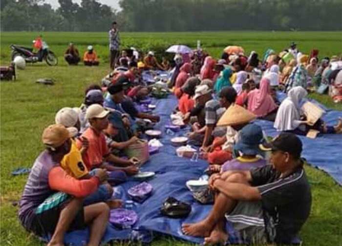 'Nggubrekan' Kebersamaan Petani Setelah Masa Tanam