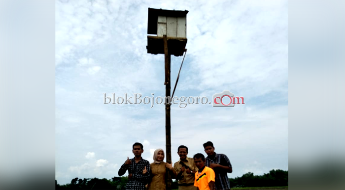 Kendalikan Hama Tikus, Petani Sukosewu Lestarikan 'Tyto Alba'