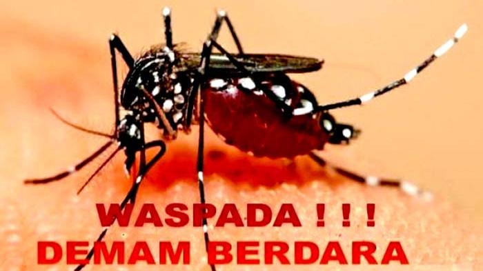 Awas...! Kasus DB di Bojonegoro Meningkat Tajam