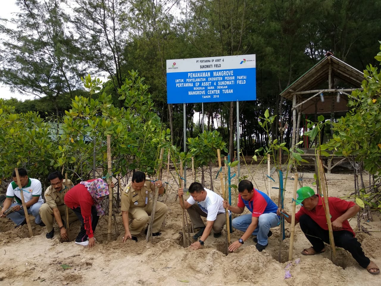 Pertamina EP Dorong Konservasi Bakau di Tuban