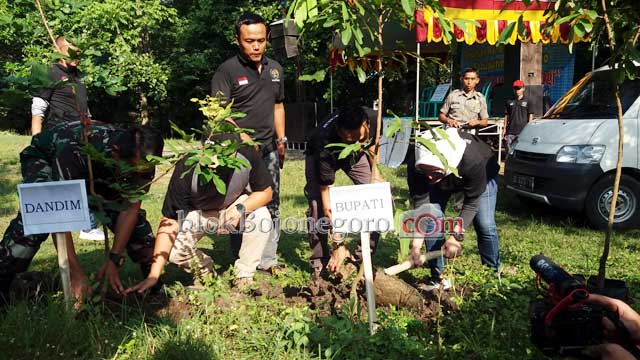 Selain Wisata Air, Sumbangan Pohon Juga Sebagai Wisata Agro