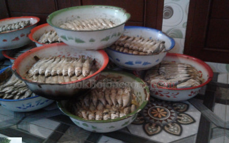 Desa Sraturejo Sentra Produksi Ikan Pindang