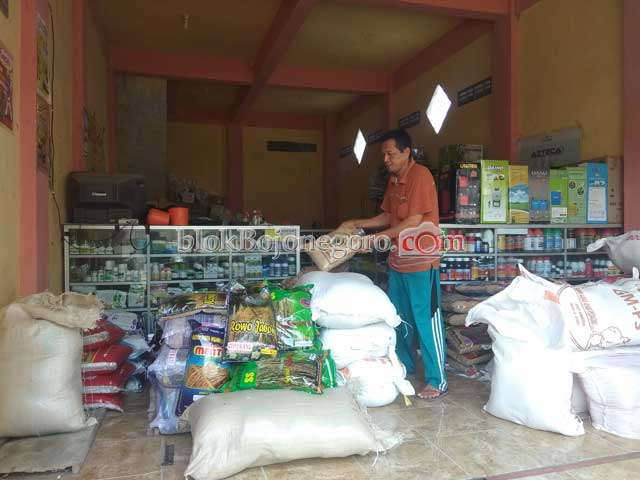 Musim Tanam ke Dua, Petani Pilih Bibit dengan Umur Pendek