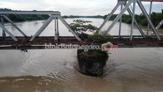 Stabil, Bengawan di Bojonegoro Siaga Kuning