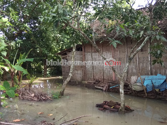 Luapan Kali Gampeng dan BengawanGenangi Rumah Warga Kedungbondo