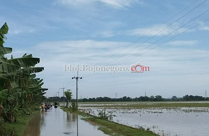 Banjir Masih Menggenang, Aktifitas Warga Terhambat