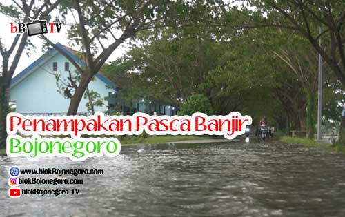 Penampakan Pasca Banjir