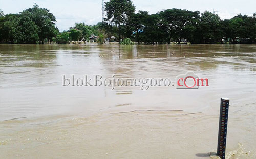 Akibat Banjir, Budidaya Ikan Rugi Rp305 Juta