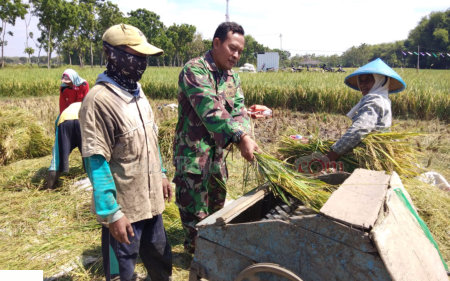 Upaya Tingkatkan Ketahanan Pangan, Babinsa Turut Dampingi Petani