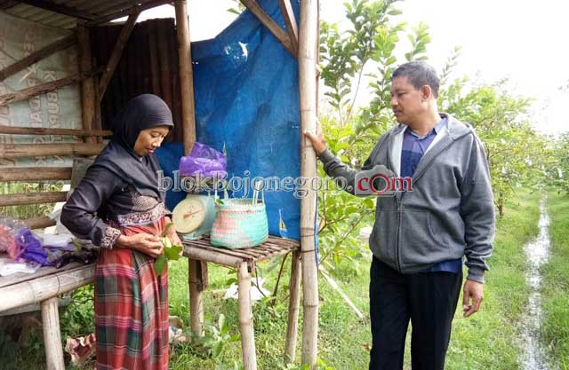 Agrowisata Jambu Kristal Masih Butuh Banyak Perhatian