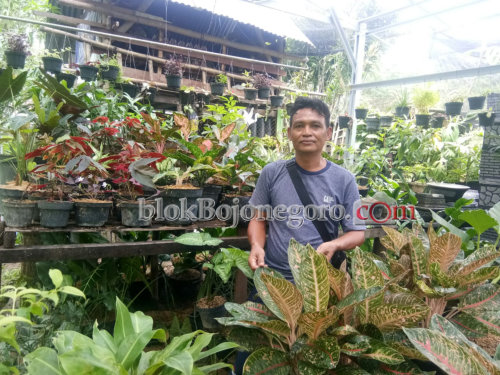 Dulu Pedagang Asongan, Kini Jadi Bos Tanaman Hias