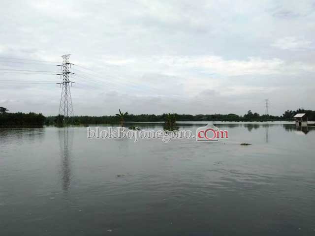 5 RT dan 60 Hektar Sawah Di Desa Mejuwet Terendam Banjir