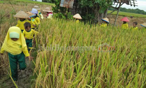 Permudah Pembiayaan Petani, BNI dan HARA Saling Bersinergi