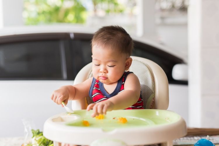 Manajemen Penyimpanan Makanan Bayi Saat Perjalanan Mudik
