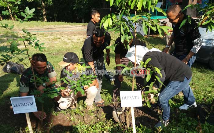 DLH Bojonegoro Target Tanam 500 Ribu Pohon