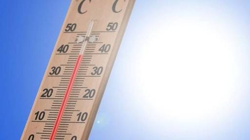 Temperatur Normal, Kelembaban di Bojonegoro Tidak Ideal