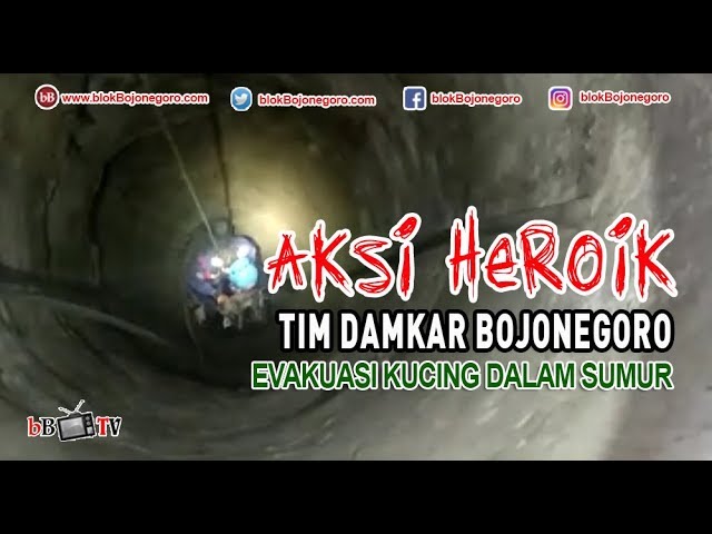 Aksi Heroik Damkar Selamatkan Kucing Dalam Sumur