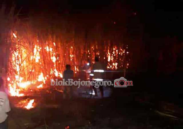 Kebakaran Lahan Tebu di Kedungadem, Kerugian Capai 10 Juta