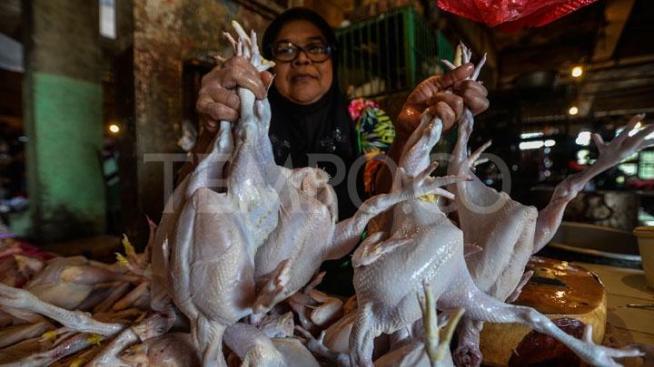 Jangan Makan 4 Bagian Ayam Berikut Demi Kesehatan
