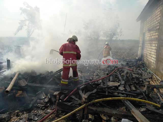 Kandang Terbakar, 2 Ekor Sapi Berhasil Diselamatkan