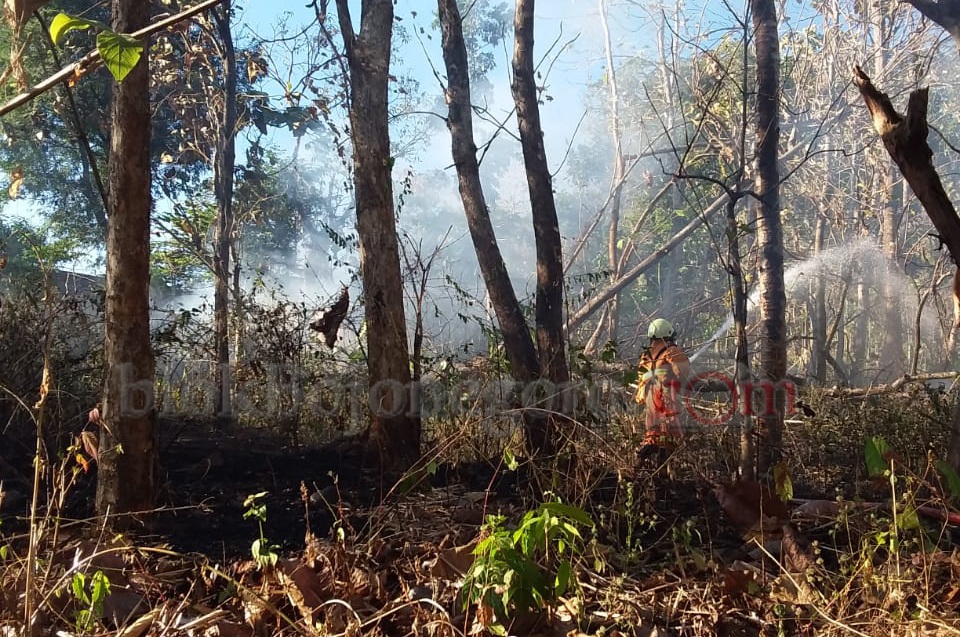 Lahan Jati dan Kios Sembako di Sekar Terbakar