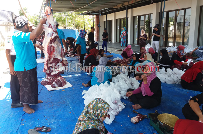 Tidak Hanya Stres, Ada Faktor Lain yang Pengaruhi Kualitas Daging Kurban