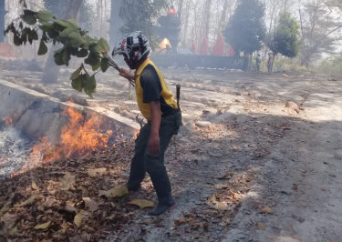 Diduga Akibat Puntung Rokok, 4 Haktare Hutan Dander Terbakar
