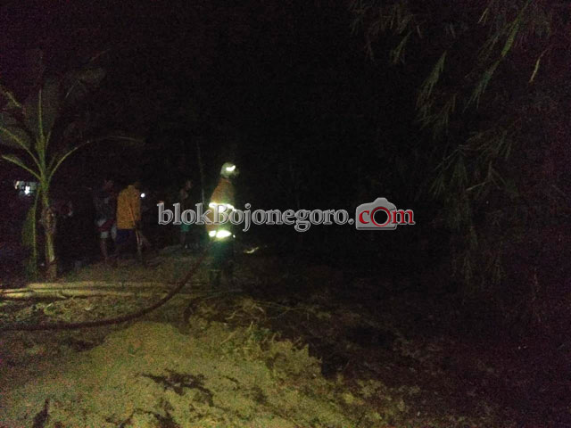 Akibat Bakar Sampah, Rumpun Bambu di Balen Kembali Terbakar