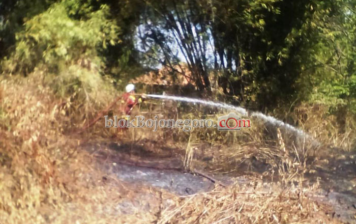 Lahan Bambu Terbakar di Samping MTsN Padangan