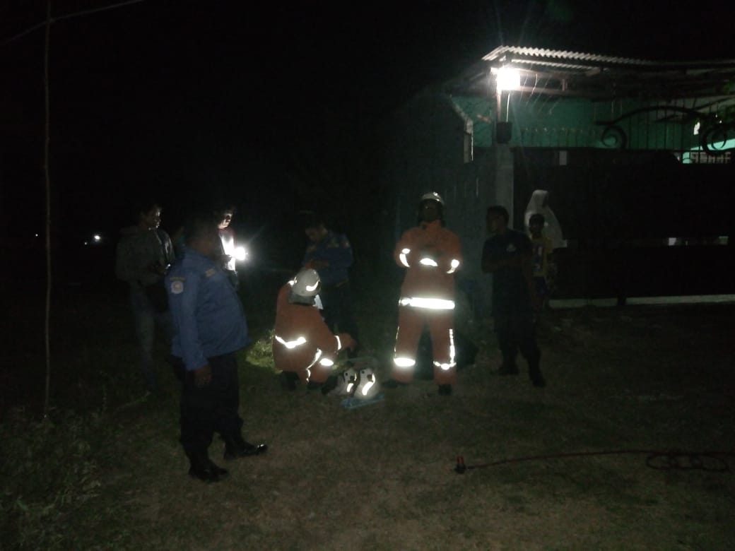 Warga Resah, BPBD Evakuasi Sarang Tawon