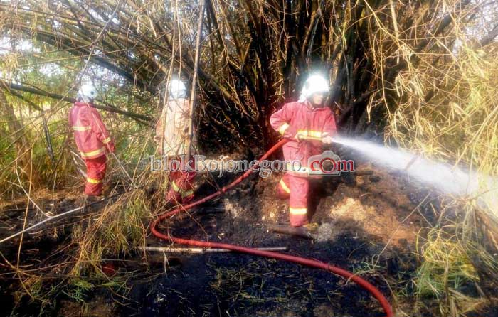 Niat Bakar Sampah, Penggilingan Padi Nyaris Terbakar