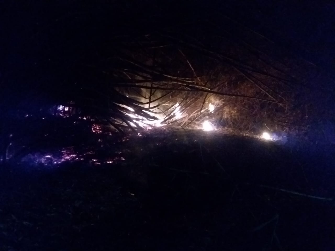 Diduga Akibat Puntung Rokok, Rumpun Bambu di Campurrejo Terbakar