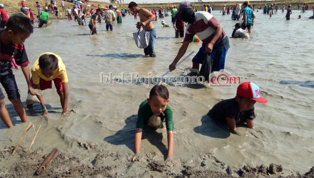 Anak-anak Tak Mau Kalah Tangkap Ikan