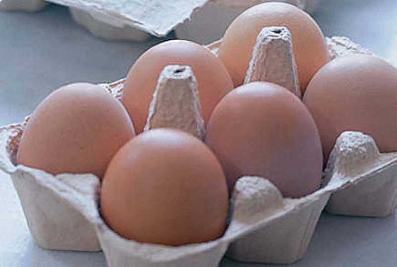 Bukan Telur Sembarang Telur, Ada 7 Manfaat Konsumsinya